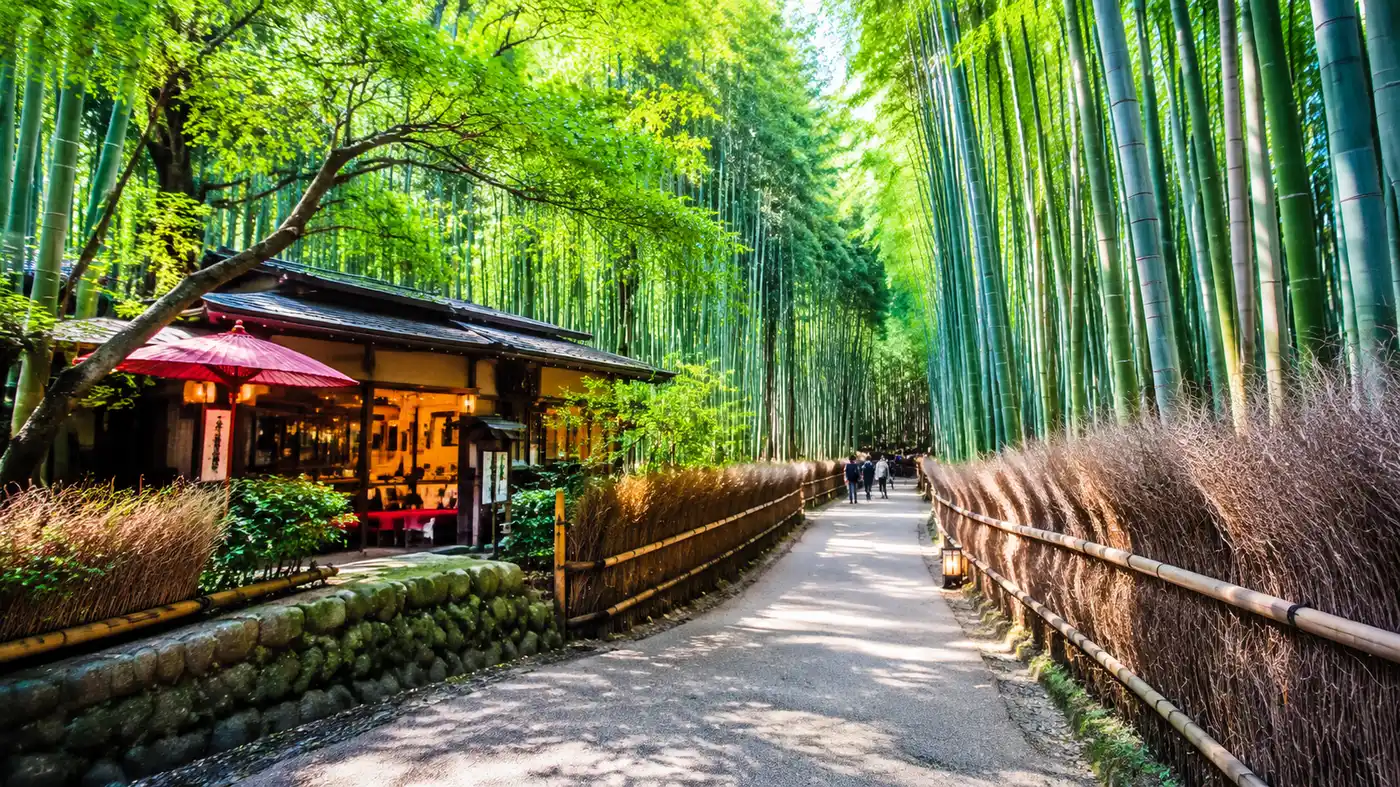 Arashiyama Restaurants & Hotels: Where to Eat and Stay